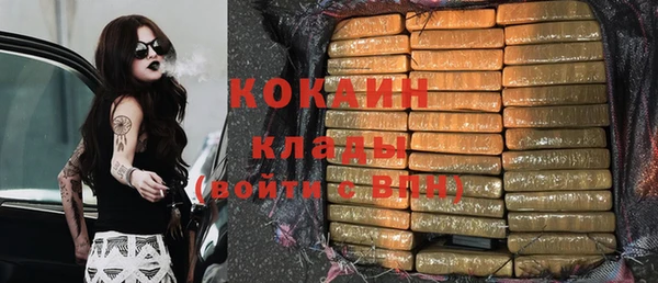 крисы Куйбышев