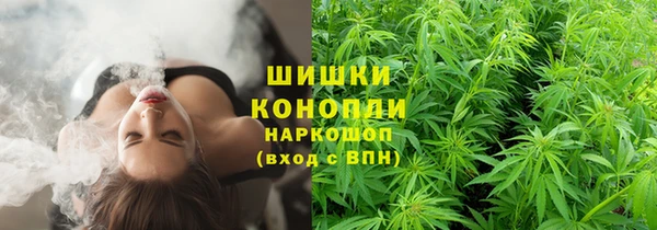 крисы Куйбышев