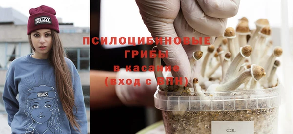 крисы Куйбышев